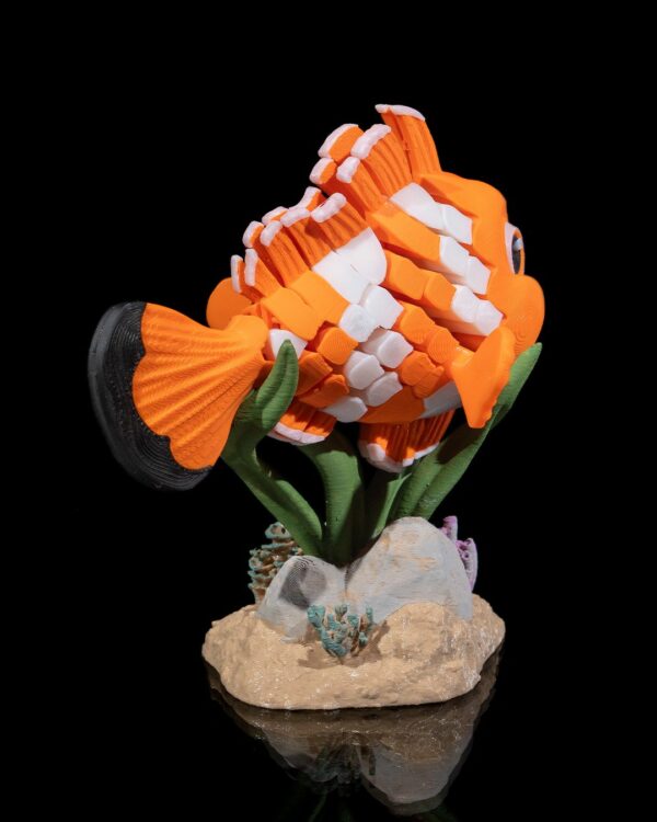 Nestor, the clownfish – Image 11