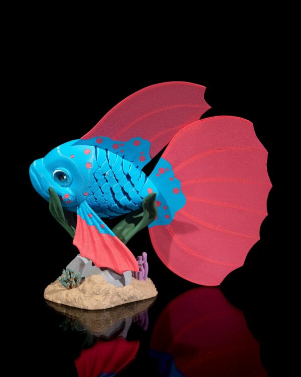 Bella, the betta fish – Image 7