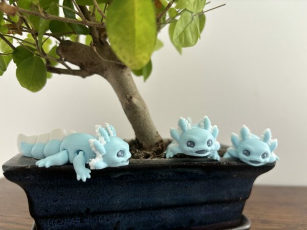 Axolotl blue ice pop – Image 11