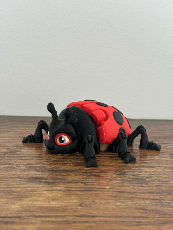 Lilly ladybug – Image 8