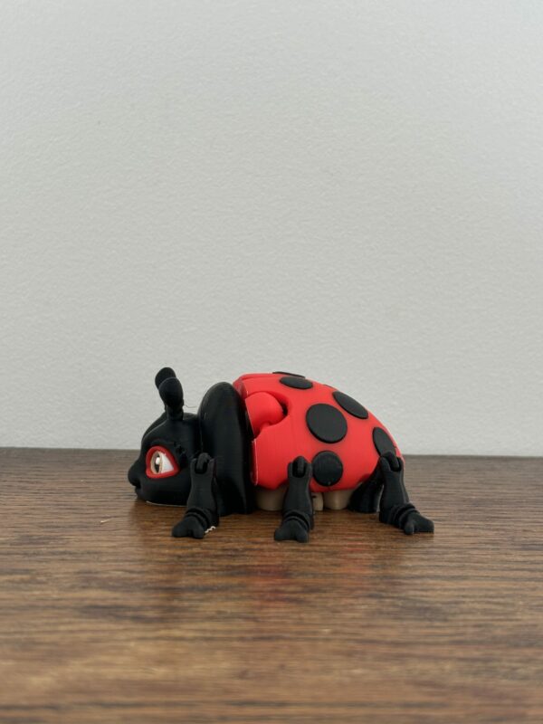 Lilly ladybug – Image 4