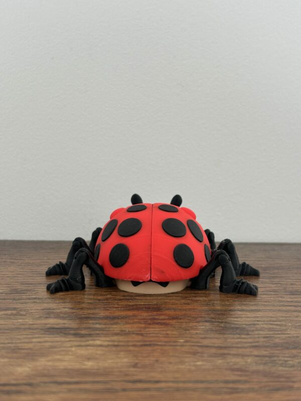 Lilly ladybug – Image 7