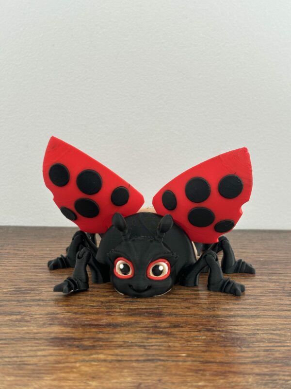 Lilly ladybug