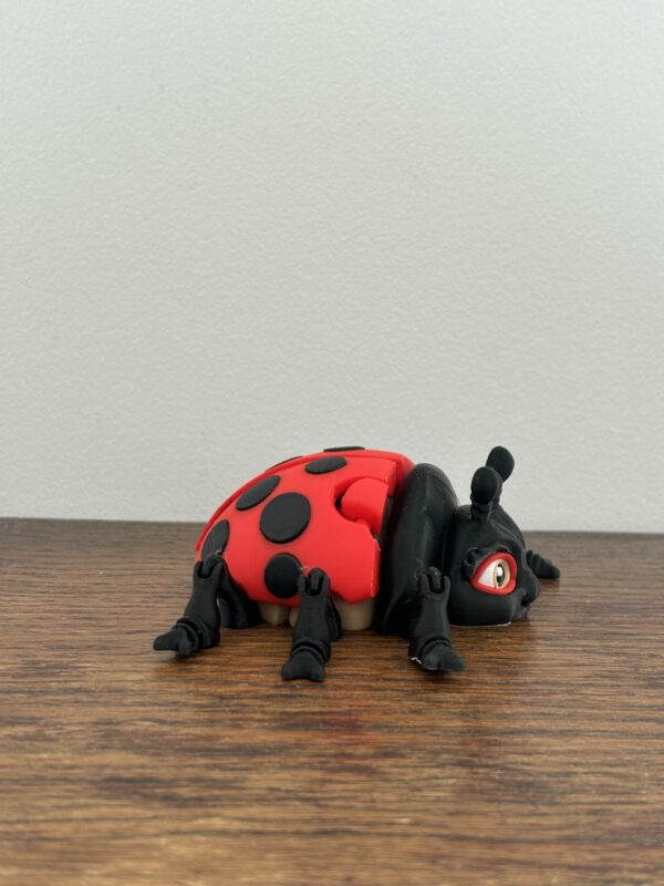 Lilly ladybug – Image 3