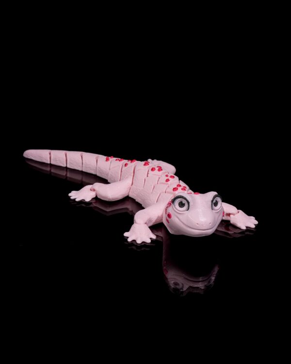 Gecko – Image 7