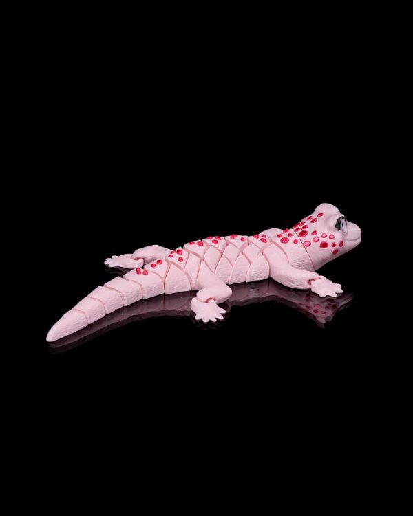 Gecko – Image 2