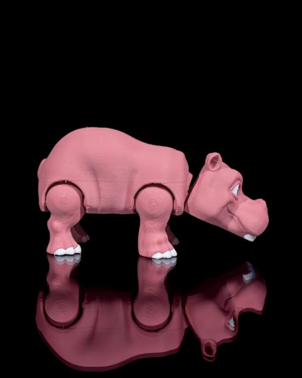 Hippo – Image 4