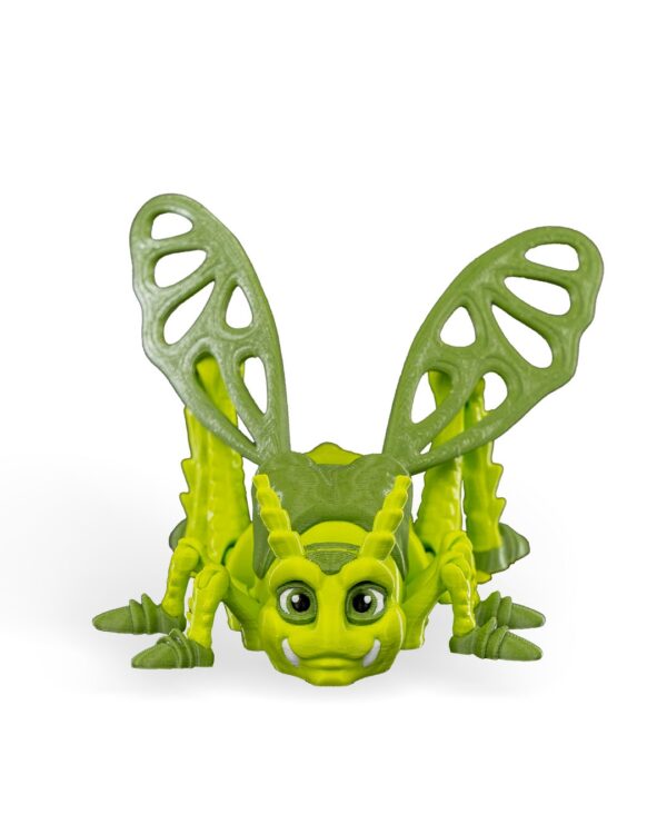 Jimmy grasshopper – Image 9