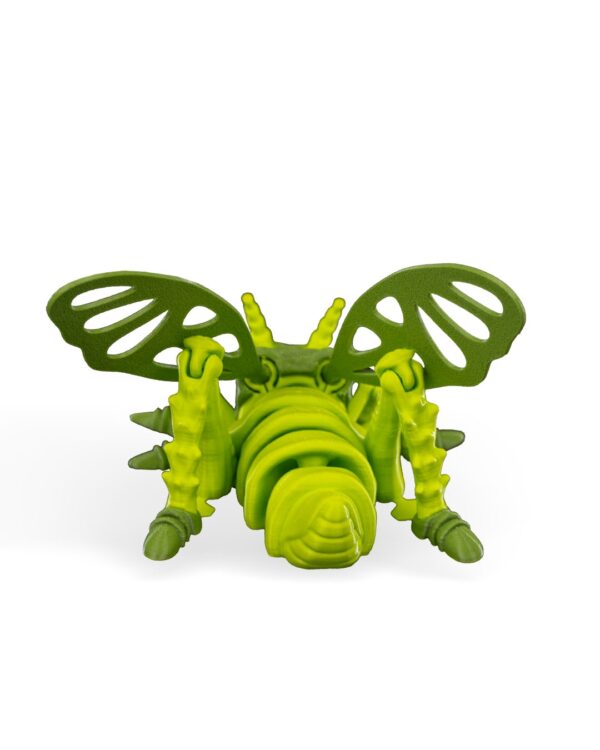 Jimmy grasshopper – Image 7