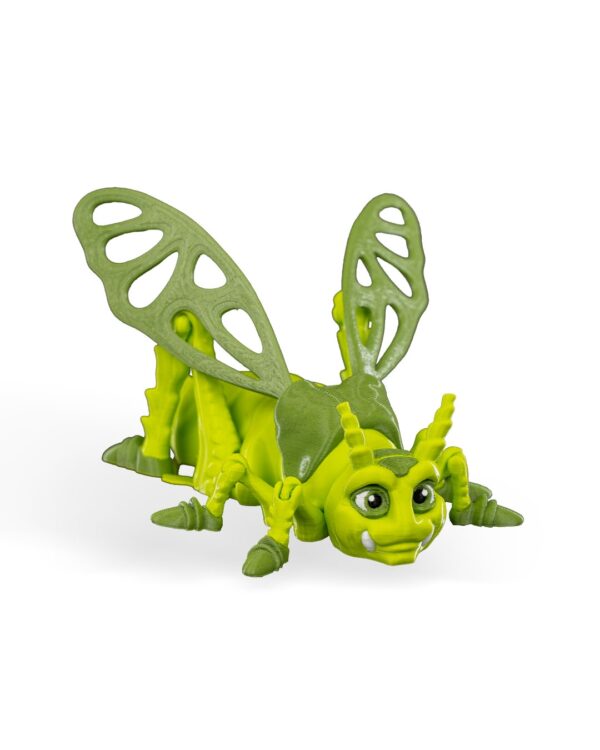 Jimmy grasshopper – Image 5