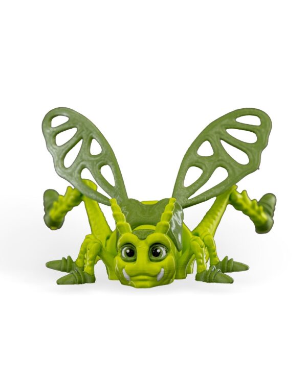 Jimmy grasshopper – Image 4