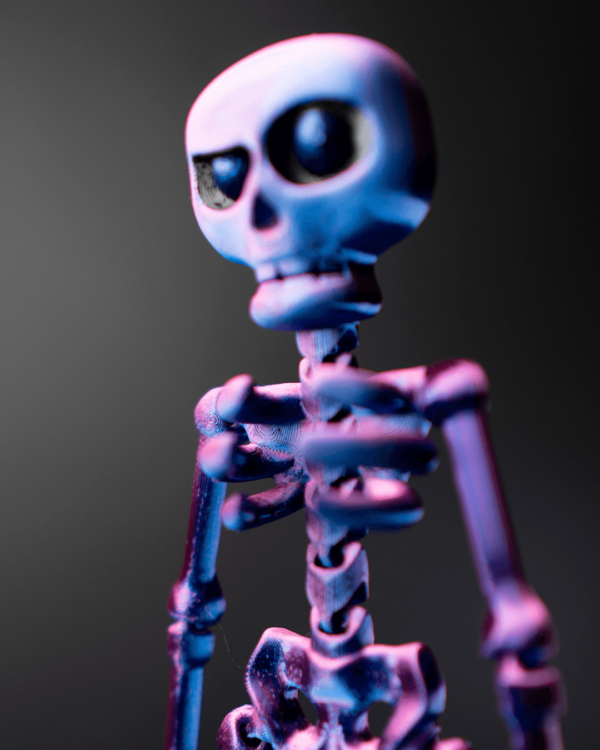 Skeleton – Image 6