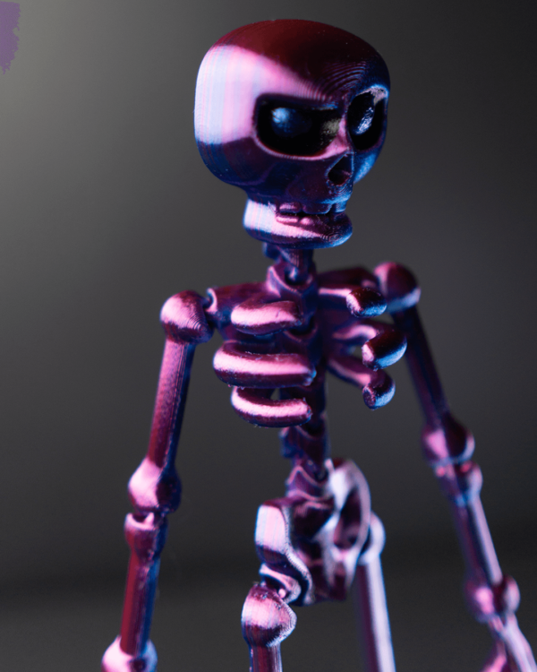 Skeleton – Image 5