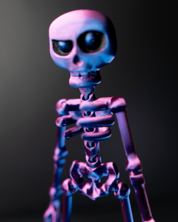 Skeleton – Image 4