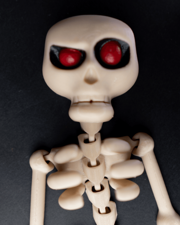 Skeleton – Image 2