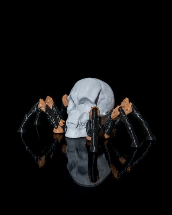 Skull spider – Image 7