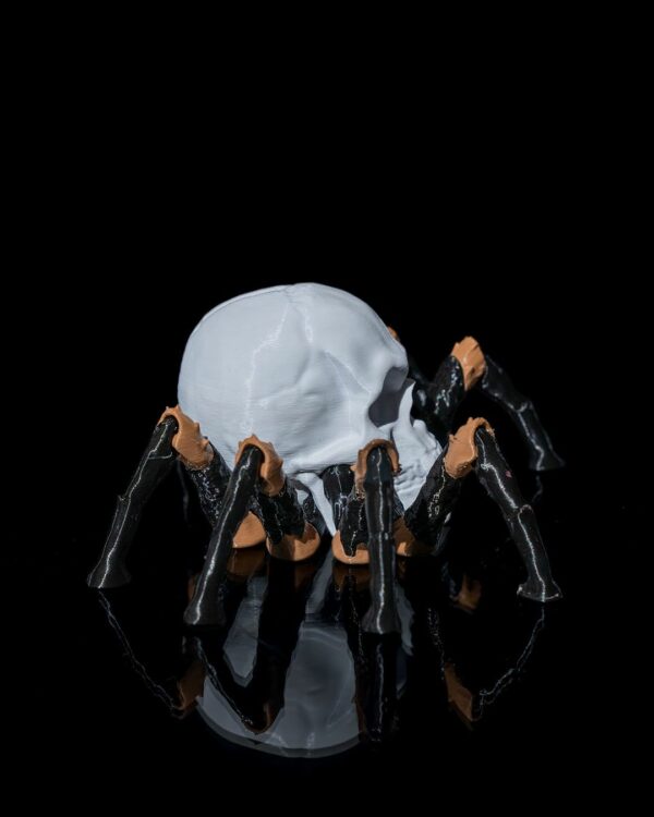 Skull spider – Image 6