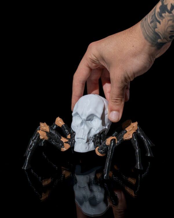 Skull spider – Image 4