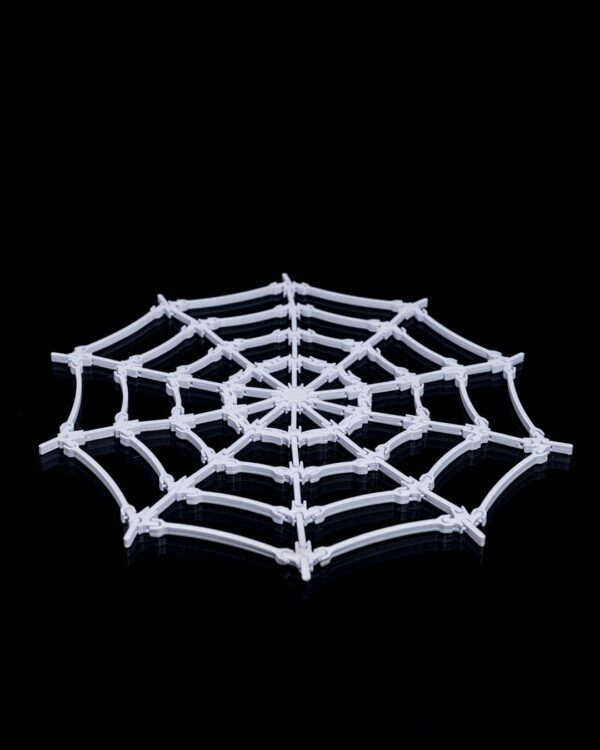 Spider's web – Image 5