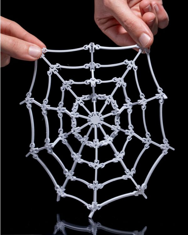 Spider's web – Image 4