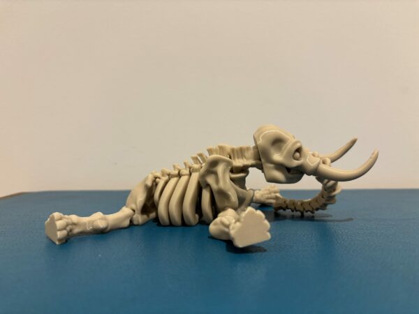 Skeleton elephant – Image 2