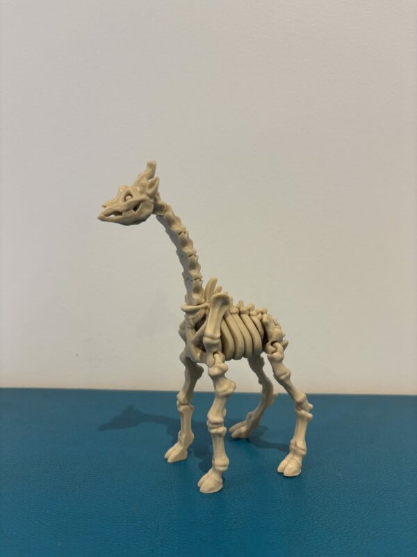 Skeleton Giraffe