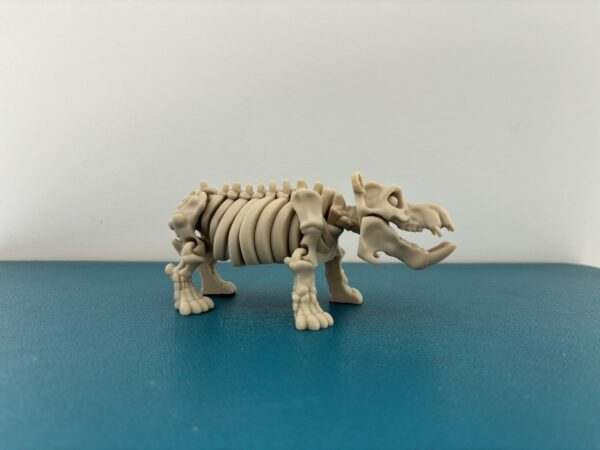 Skeleton hippo