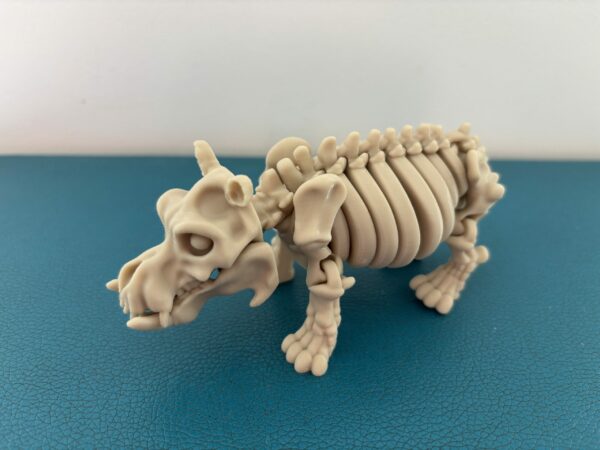 Skeleton hippo – Image 4