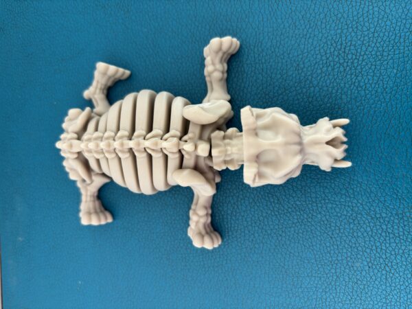 Skeleton hippo – Image 2