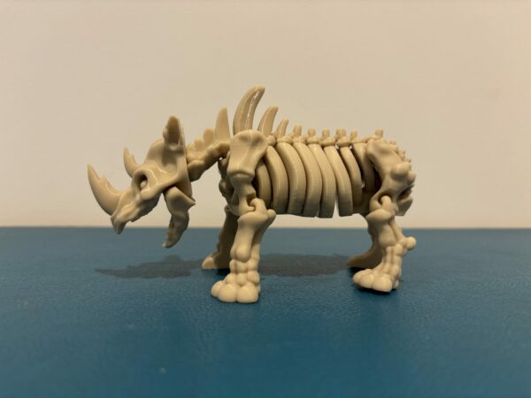 Skeleton rhino