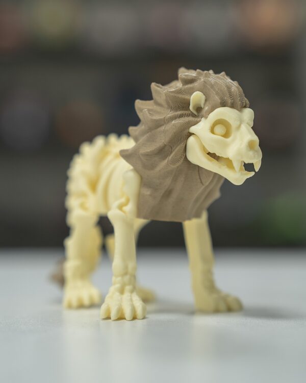 Skeleton lion