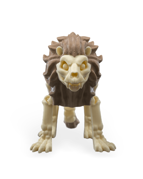 Skeleton lion – Image 2