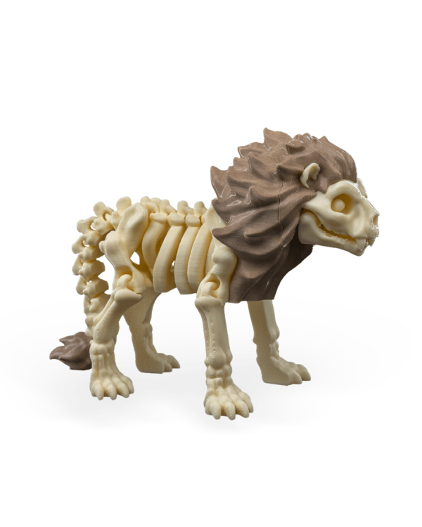 Skeleton lion – Image 3