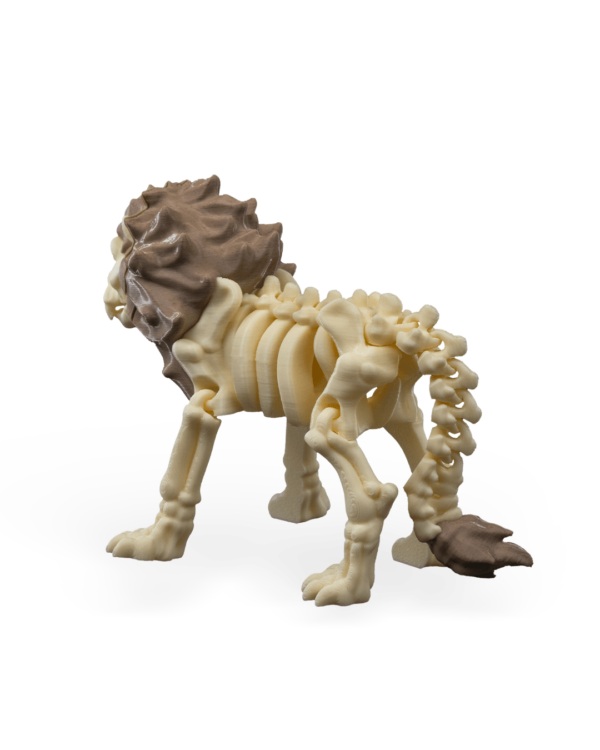 Skeleton lion – Image 4