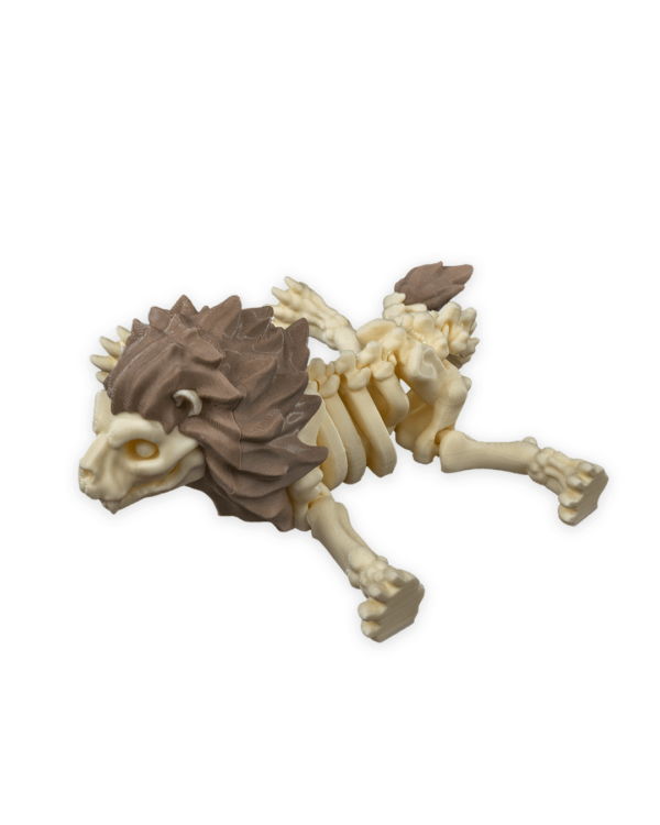 Skeleton lion – Image 5