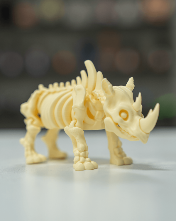 Skeleton rhino – Image 4