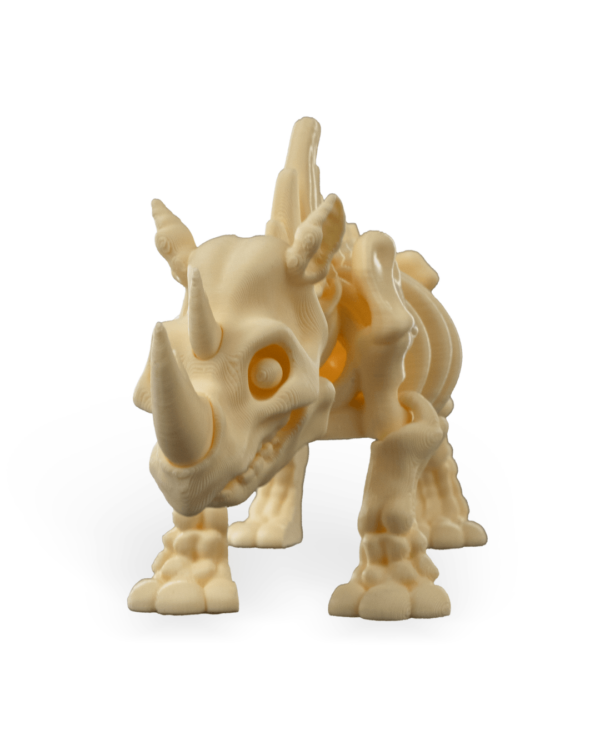 Skeleton rhino – Image 5