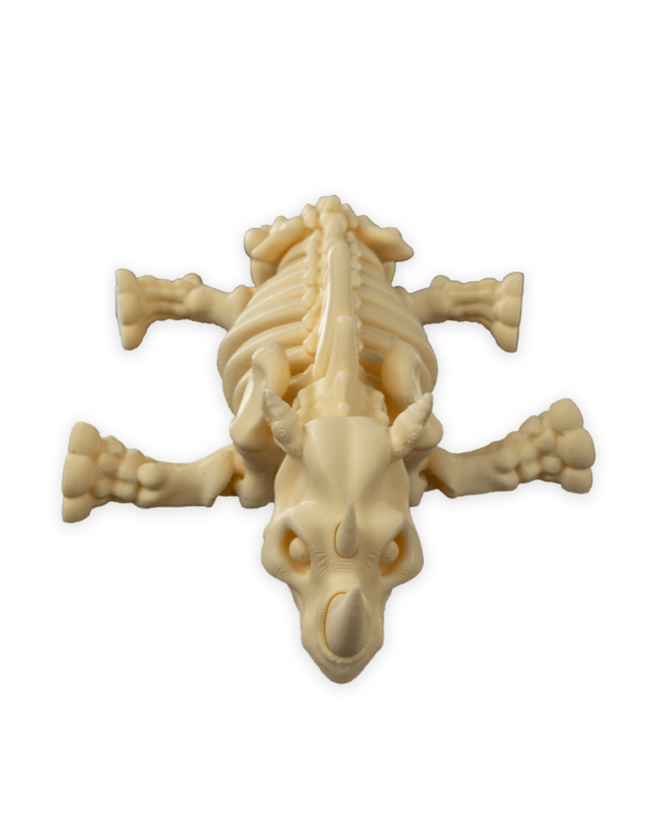 Skeleton rhino – Image 6