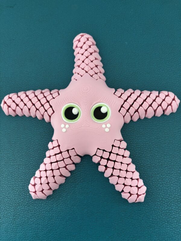 Sandy, the sea star – Image 3