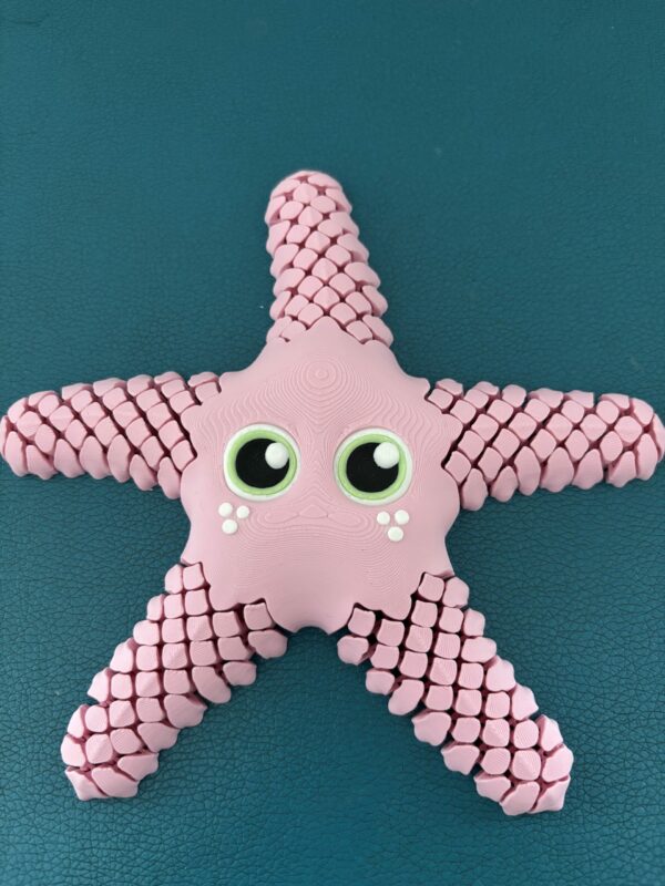 Sandy, the sea star – Image 6