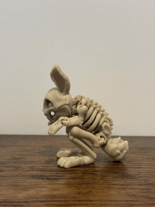 Skeleton bunny – Image 5