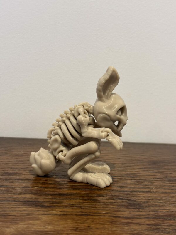 Skeleton bunny – Image 4