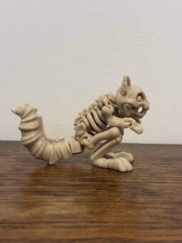 Skeleton squirrel – Image 3