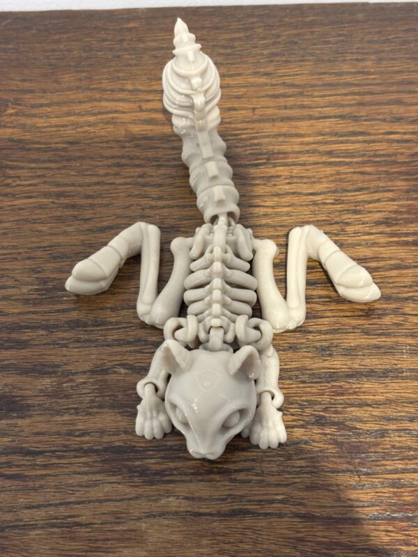 Skeleton squirrel – Image 5