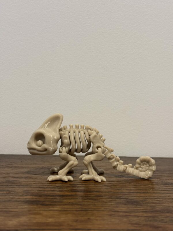 Skeleton chameleon