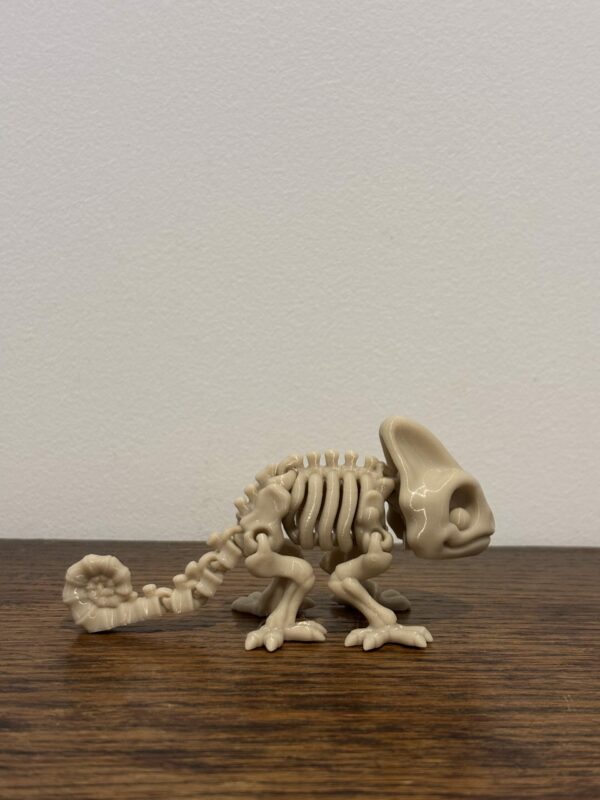 Skeleton chameleon – Image 4