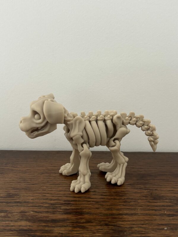 Skeleton dog – Image 2