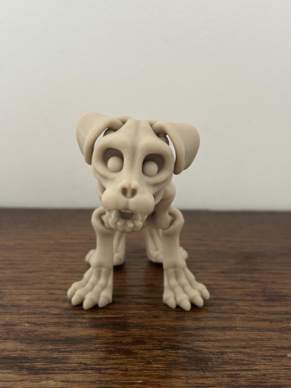 Skeleton dog – Image 3