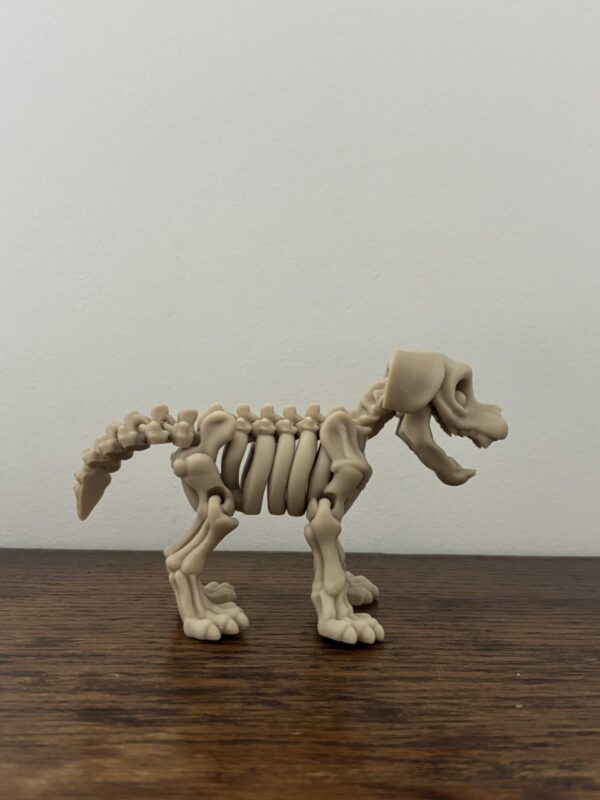 Skeleton dog