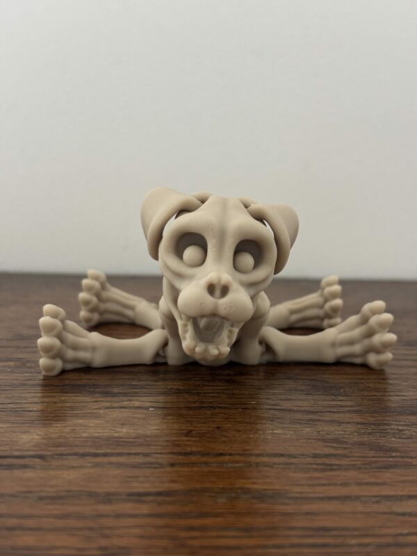 Skeleton dog – Image 4